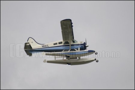 beaver_4312.jpg