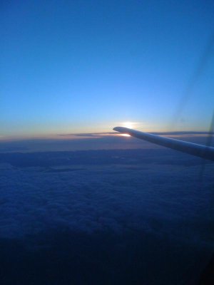 IMG_0440.jpg