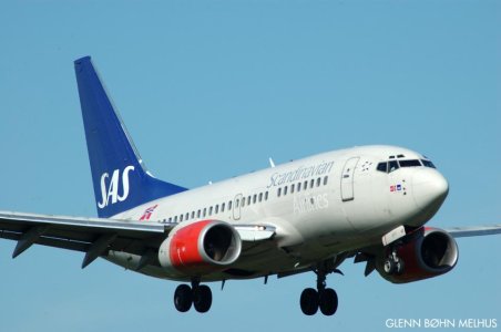 736.jpg