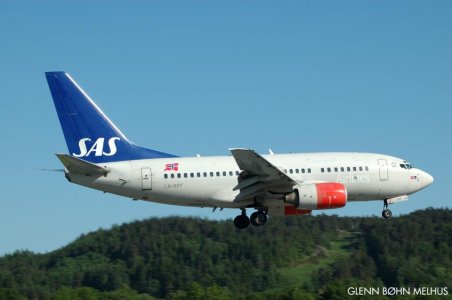 736_2.jpg