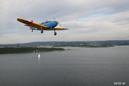 IMG_8438.jpg