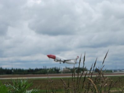P6100020.jpg