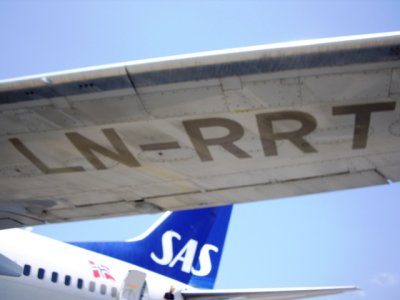 IMGP7345.JPG