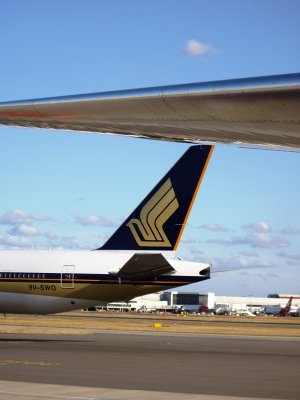 IMGP7388.JPG