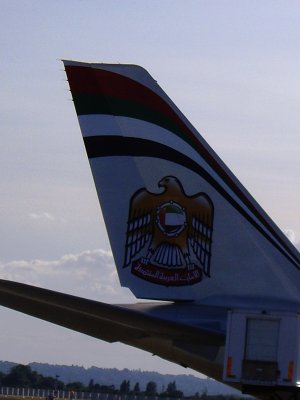 IMGP7393.JPG
