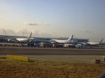 IMGP7403.JPG