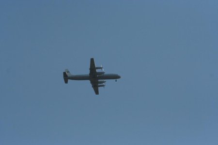 IMG_6135.jpg