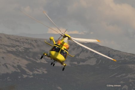 LN-OLU1.jpg