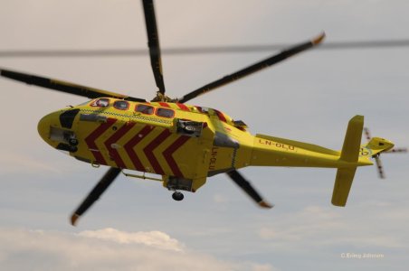 LN-OLU2.jpg