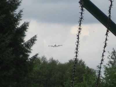 IMG_3914.jpg