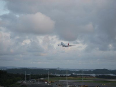 IMG_3985.jpg