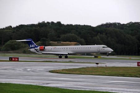 DSC_0422.jpg