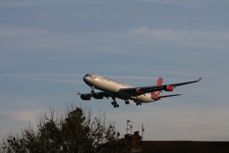 IMG_7365.jpg