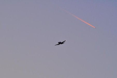DSC_0042.jpg