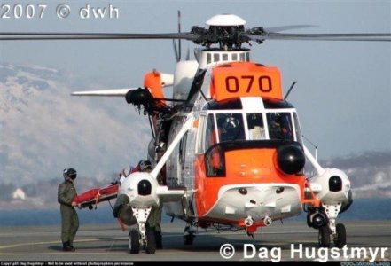 Seaking.jpg