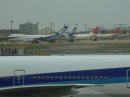 s761590390_6407480_1966903.jpg