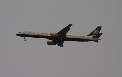 IMG_26291.jpg