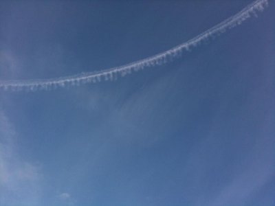 IMG_0040.jpg