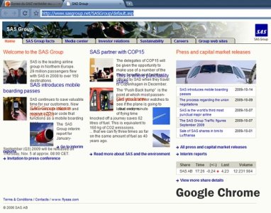 SASGroup_Chrome.jpg