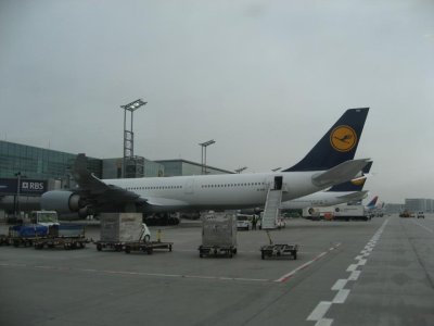 IMG_4306.jpg