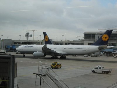 IMG_4320.jpg