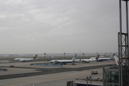 IMG_0184.jpg