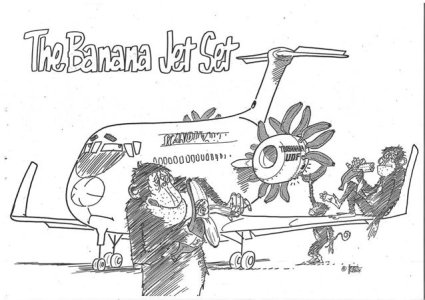 SAS (Large).jpg