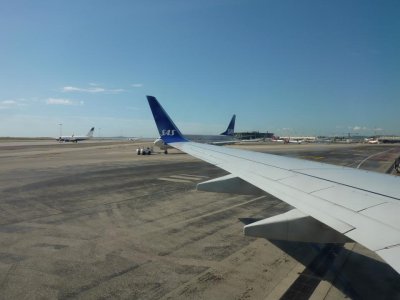P1000945.jpg