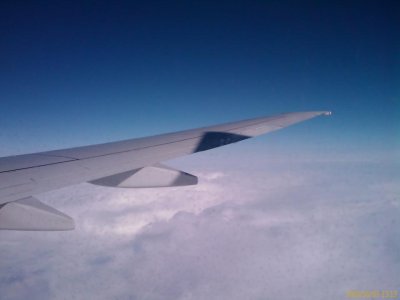 IMAGE_952.jpg