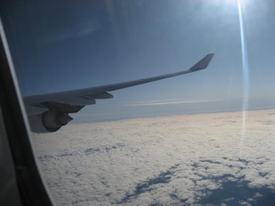 IMG_4329.jpg