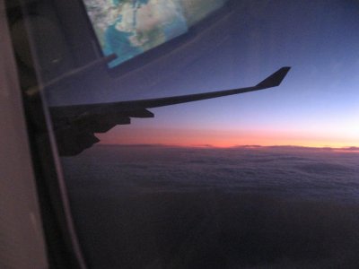 IMG_4333.jpg