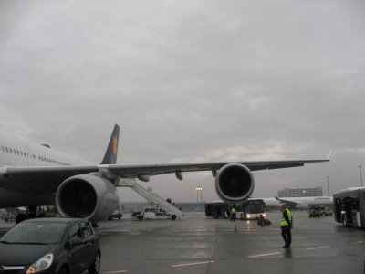 IMG_4373.jpg