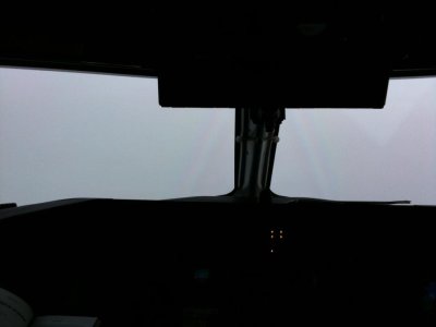 IMG_0341.jpg