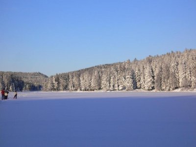 P1020114.jpg