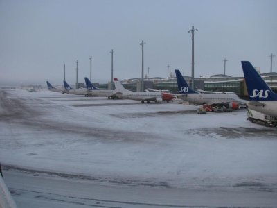 IMG_5148.jpg