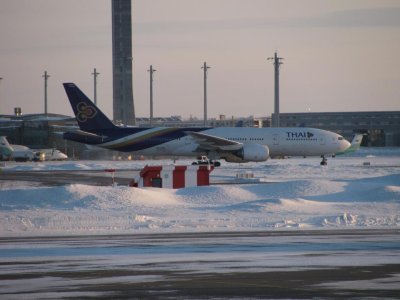 IMG_5306.jpg