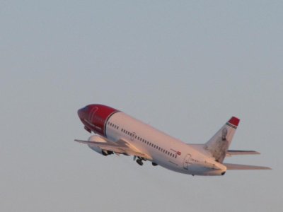 IMG_5331.jpg