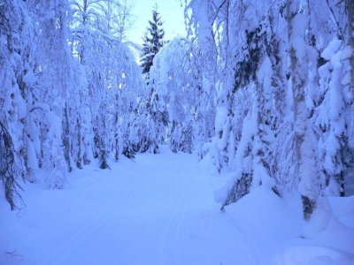 P1020124.jpg