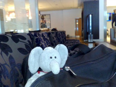 080120101279.jpg