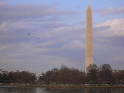 P1020207.jpg