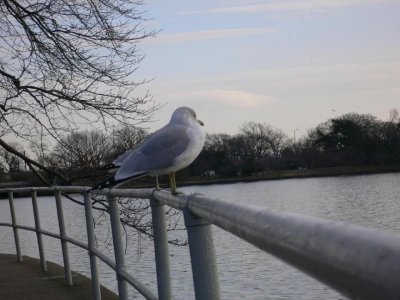 P1020201.jpg