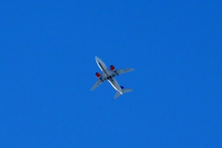IMG_3579.jpg