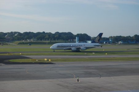 DSC_0219.jpg