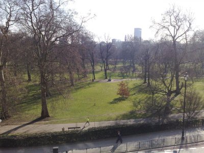 greenpark.jpg