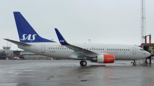 LN-RNW 3[1].jpg