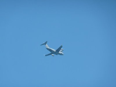 C17.jpg