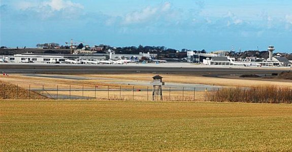 DSC_2236 (Large).jpg