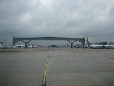 IMG_1339.jpg