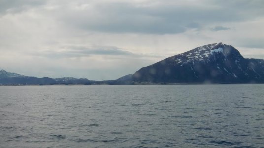 påske 032.jpg
