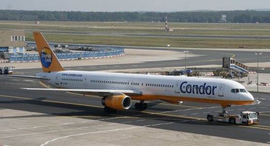 condor.jpg